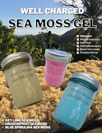 well charged sea moss gel