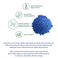 spirulina superfood infographic