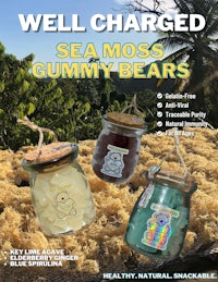 well charged sea moss gummy bears