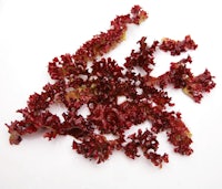 a pile of red seaweed on a white surface